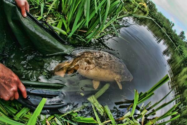 ::::::::LIKE:::::::: - 1010668545087998860306842342096n.jpg